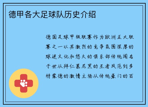 德甲各大足球队历史介绍
